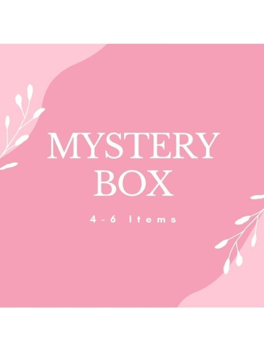 Mystery Box NWT NWOT